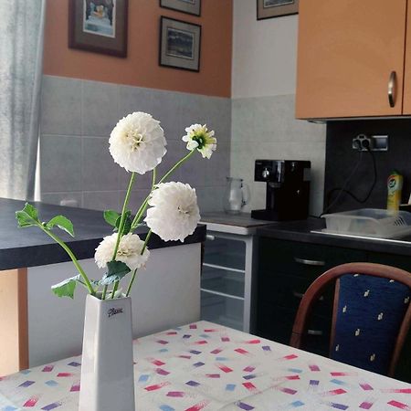 Apartman Ulehla ซลีน ภายนอก รูปภาพ