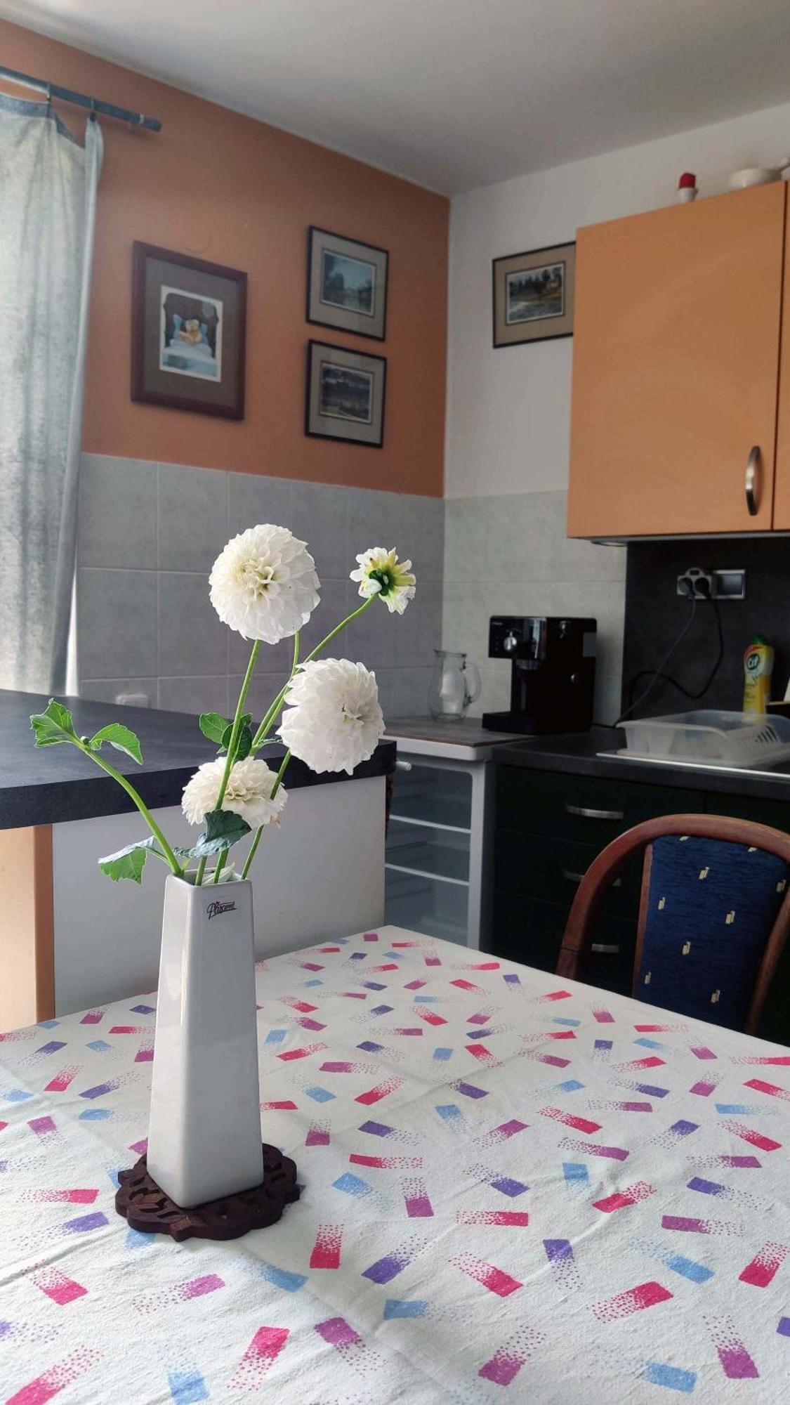 Apartman Ulehla ซลีน ภายนอก รูปภาพ